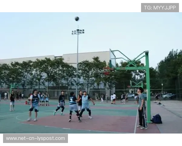 世界篮球学院在课程中引入体育产业运营与商业实践训练，国际篮球运营与管理专业怎么样
